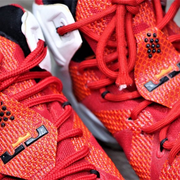 Nike LeBron 12 \'Heart of a Lion\'